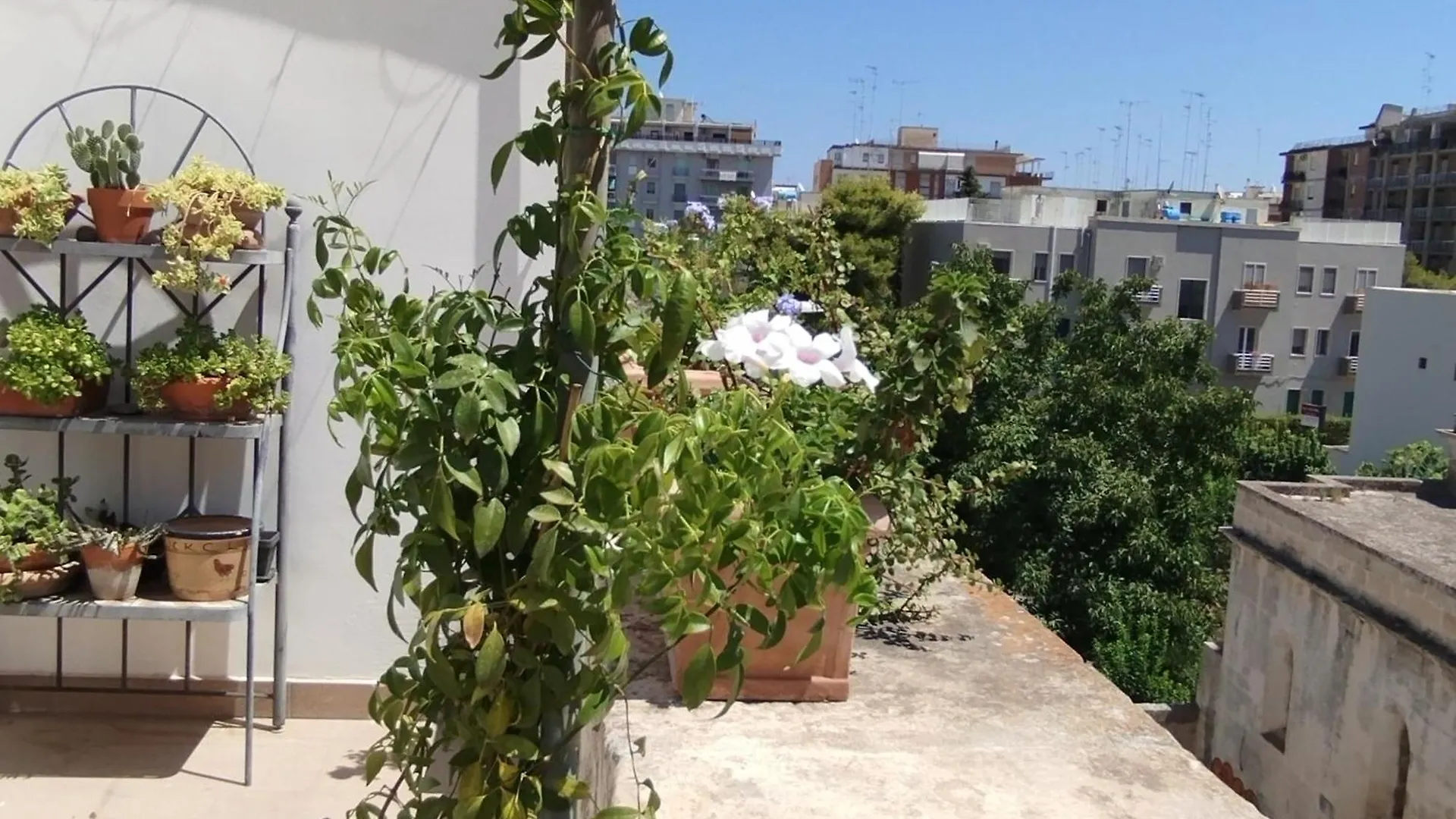 Piccolo Attico In Centro Apartment Lecce Italy